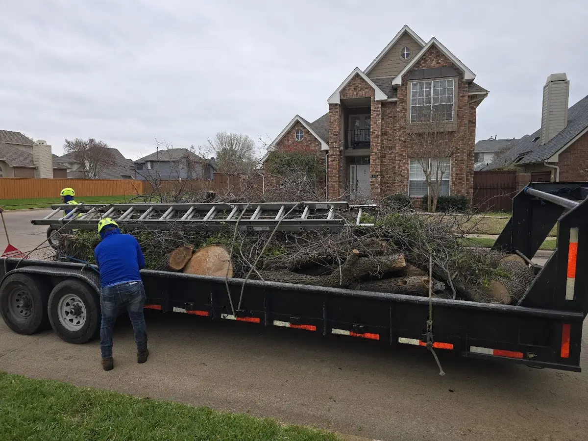 Expert Tree Pest Control with proper safety equipment in Brownsboro